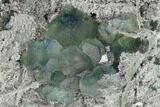 Blue-Green Fluorite on Sparkling Quartz - China #147031-2